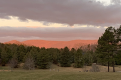 Winter-Morning-Sunrise-Courtesy-Cronin-Family