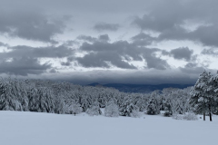 Winter-Peace-Courtesy-Cronin-Family