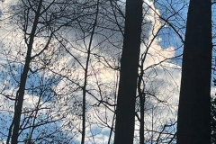 Winter-Sky-Courtesy-Graham-Family