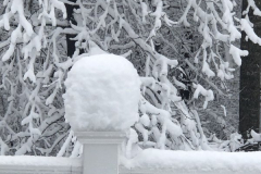 Winter-Wonderland-2-Courtesy-Roberts-Family