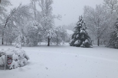 Winter-Wonderland-Courtesy-Roberts-Family