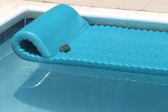 A-Little-Pool-Time-Courtesy-Cronin-Family