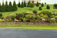 Buffet-Time-on-the-North-Side-Courtesy-Stoler-Family