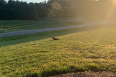 Hondo-Neighborhood-Greeter-Courtesy-SS-Davis-Family