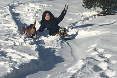 Hondo-and-His-Mom-Enjoying-the-Snow-Courtesy-SS-Davis-Family