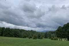 Hummingbird-Cameo-Courtesy-Cronin-Family