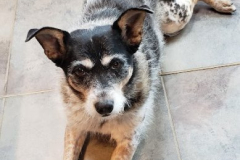 Layla-Posing-Fall-2022-Courtesy-Walsh-Family