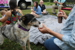 Layla-Something-for-Everyone-Summer-2021-Courtesy-Walsh-Family