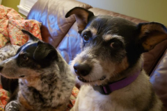 Layla-and-Cousin-Crosby-Courtesy-Walsh-Family