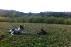 Layla-and-Remi-2011-Courtesy-Walsh-Family