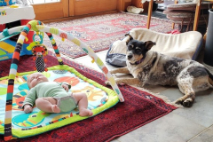 Layla-the-Babysitter-Spring-2019