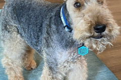 Mighty-Radar-Spring-2022-Courtesy-Slotnick-Family