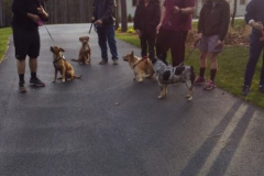 Morning-Coffee-Klatch-2017-Courtesy-Walsh-Family