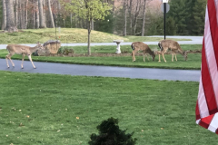 Our-Buffet-Patrons-Courtesy-Roberts-Family