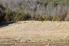 Turkey-Trot-Courtesy-Walsh-Family