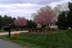 Lovely-Landscaping-April-2020-Courtesy-Wright-Family